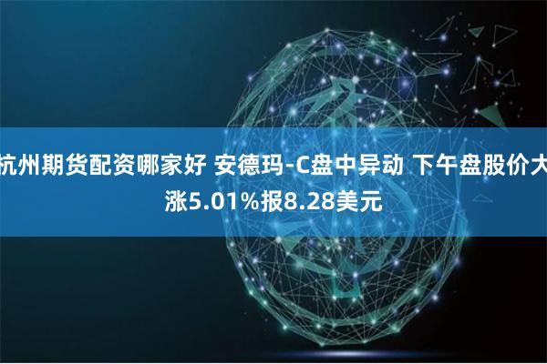 杭州期货配资哪家好 安德玛-C盘中异动 下午盘股价大涨5.01%报8.28美元