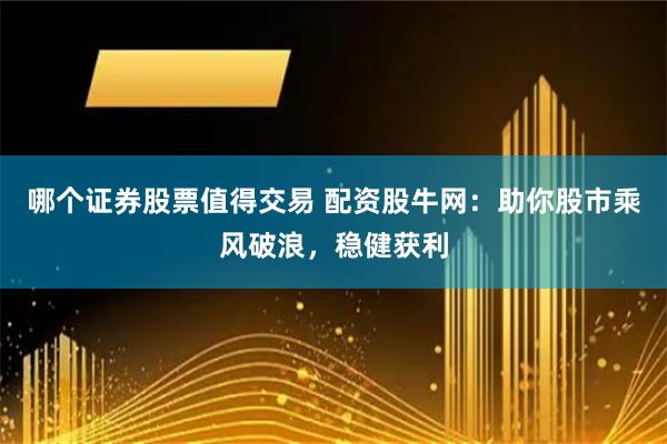 哪个证券股票值得交易 配资股牛网：助你股市乘风破浪，稳健获利