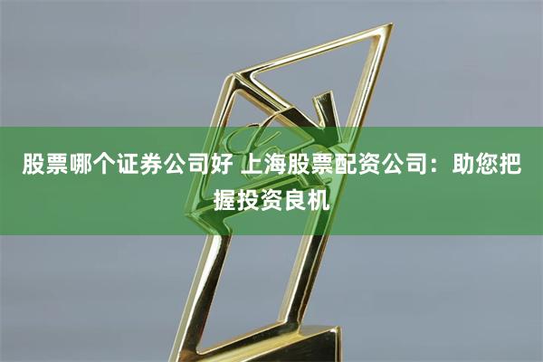 股票哪个证券公司好 上海股票配资公司：助您把握投资良机